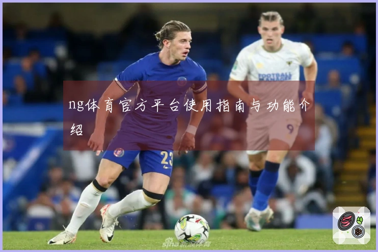 ng体育官方平台使用指南与功能介绍