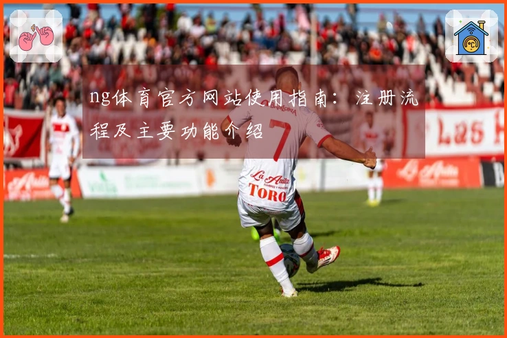 ng体育官方网站使用指南：注册流程及主要功能介绍